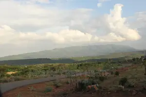 Plots for Sale in Ewauso-Kedong, Touching Ngong-Suswa Tarmac