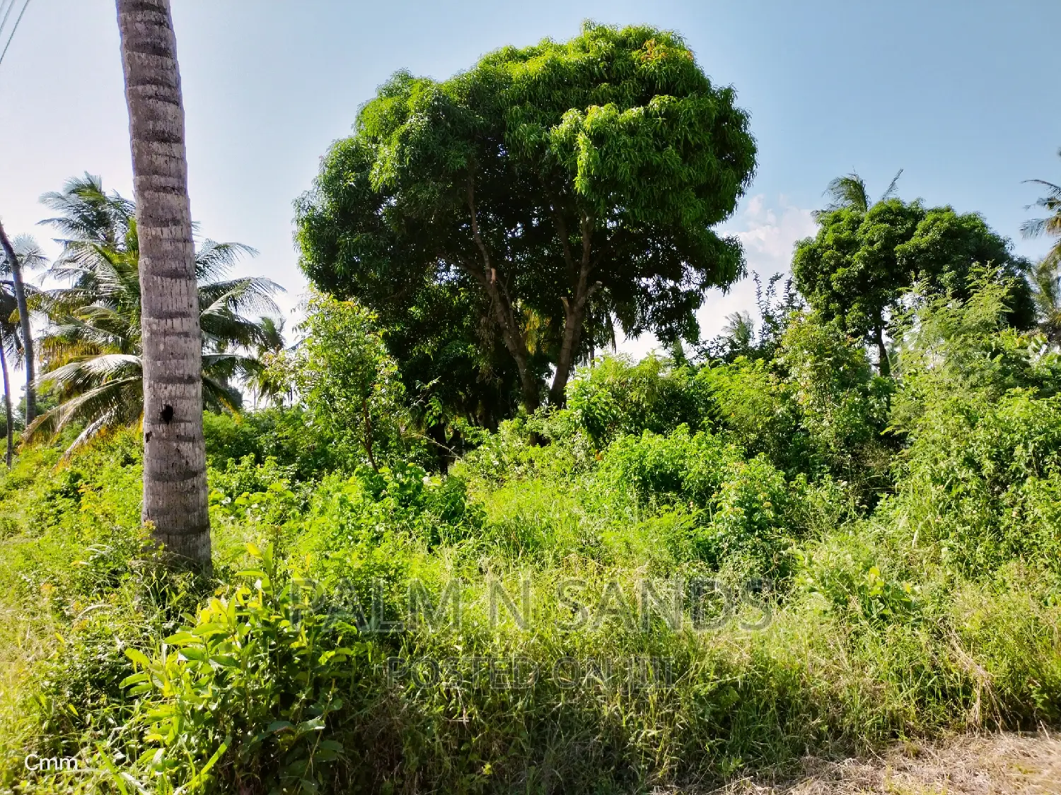 One Acre Commercial Land in Diani