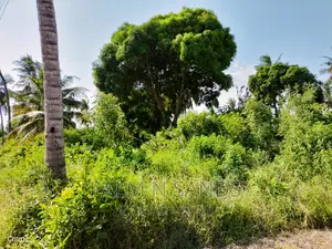 One Acre Commercial Land in Diani