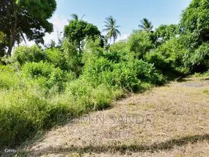 One Acre Commercial Land in Diani
