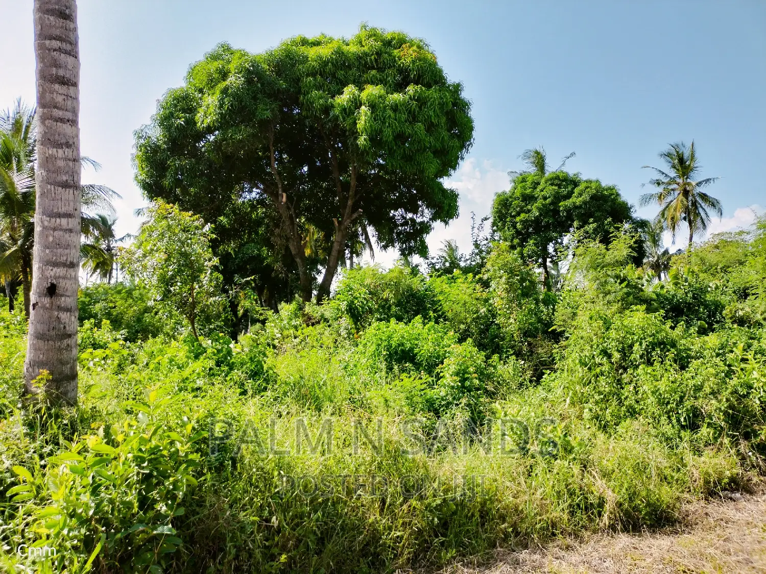 One Acre Commercial Land in Diani