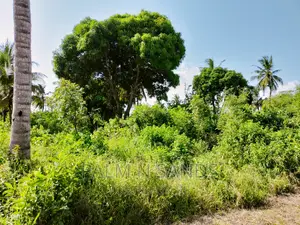 One Acre Commercial Land in Diani