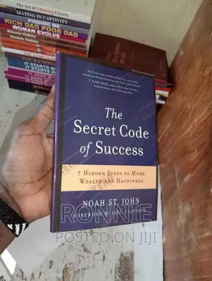 The Secret Code of Success: By Noah St. John