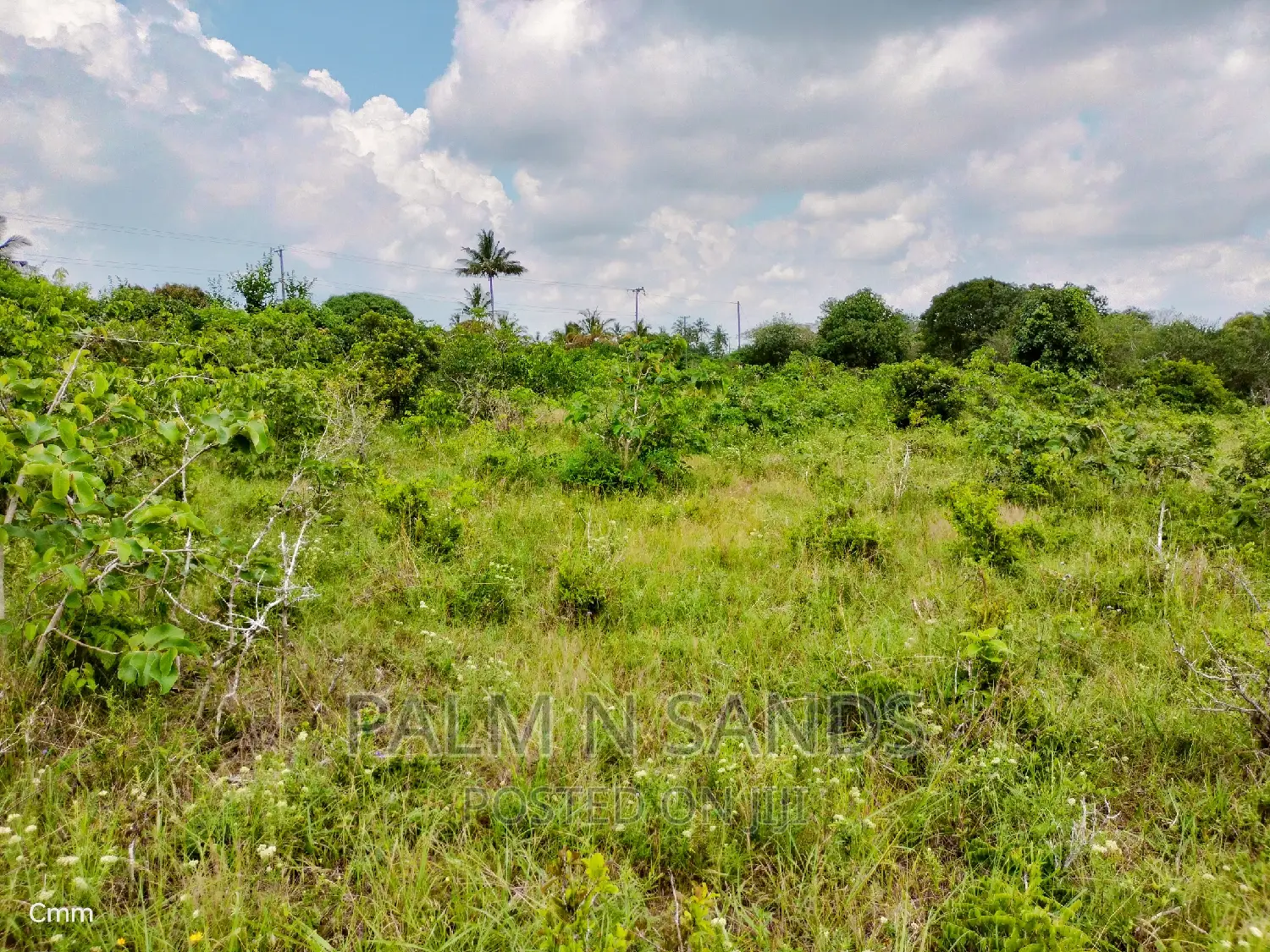 Golini Ridge 4 Acre Prime Land