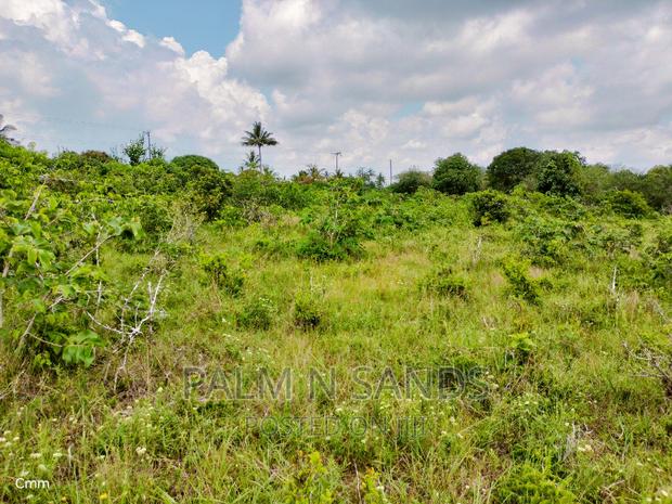 Golini Ridge 4 Acre Prime Land - thumbnail 6