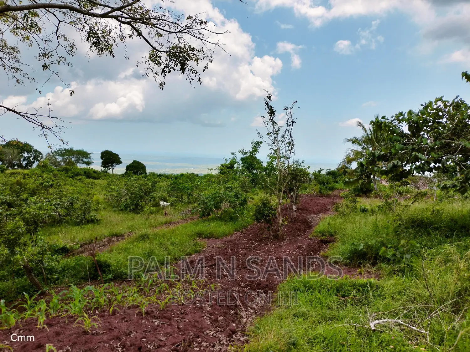 Golini Ridge 4 Acre Prime Land