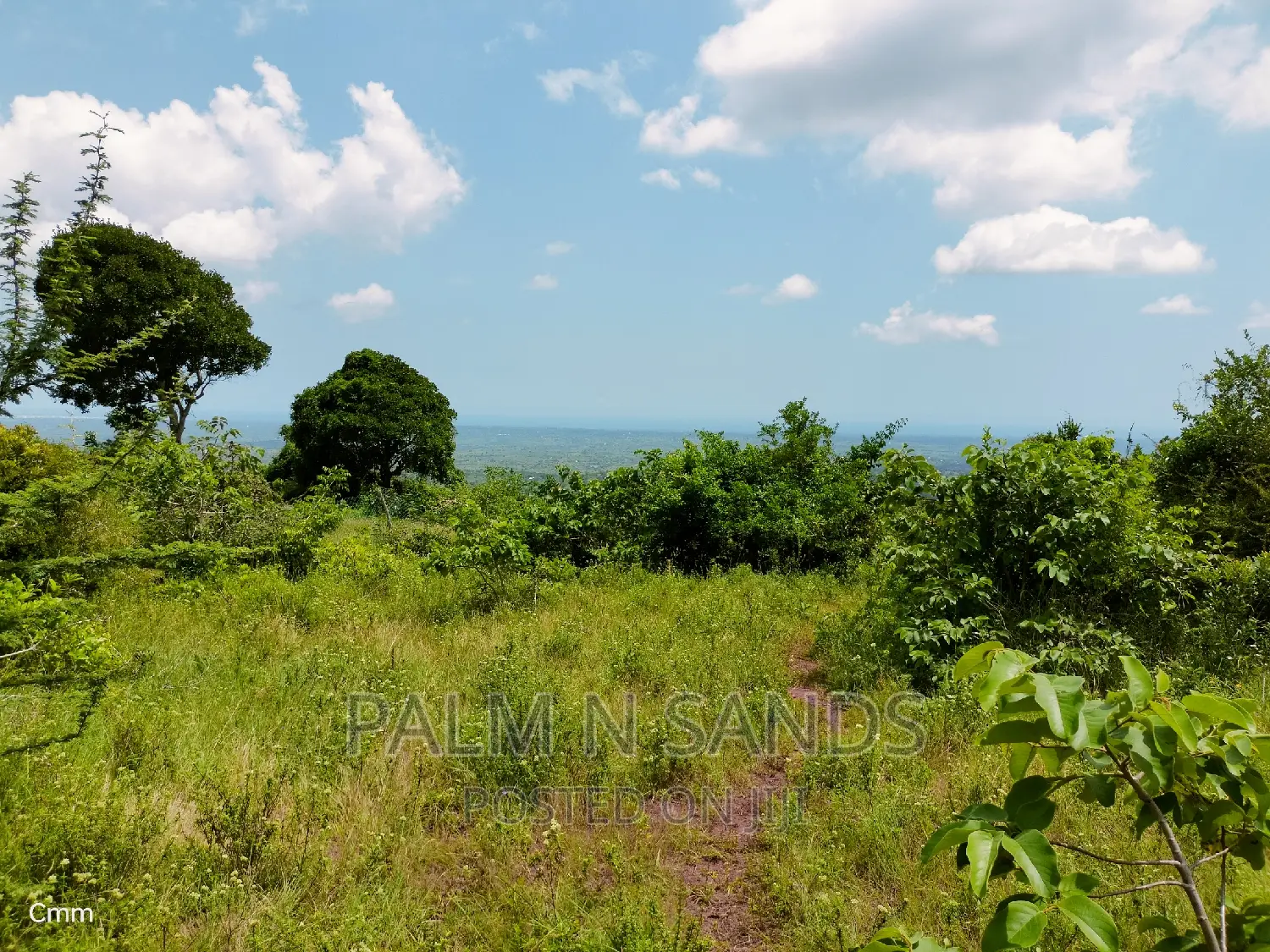 Golini Ridge 4 Acre Prime Land