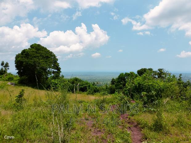 Golini Ridge 4 Acre Prime Land - thumbnail 13