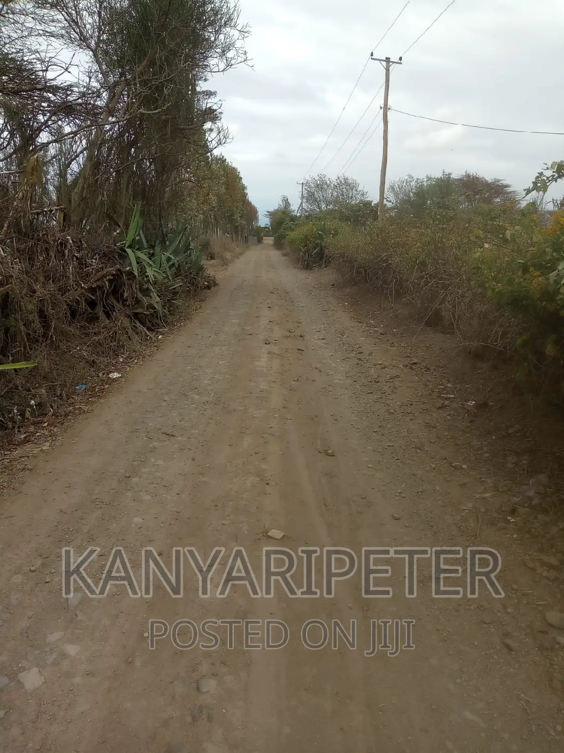 Plots With Ready Title Deeds in Nyeri Mweiga Muthuini