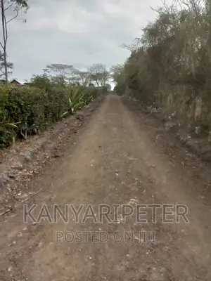 Plots With Ready Title Deeds in Nyeri Mweiga Muthuini
