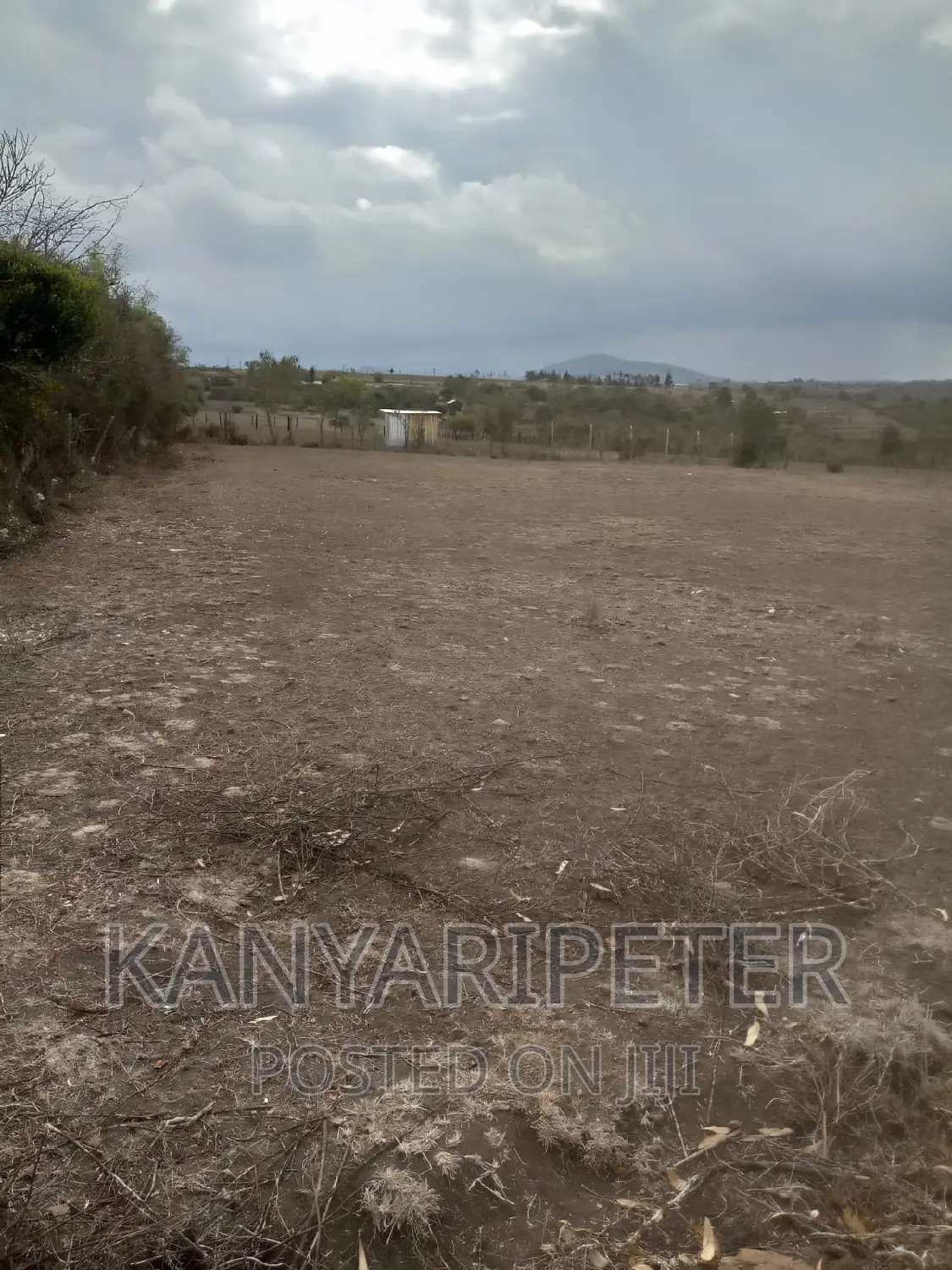 Plots With Ready Title Deeds in Nyeri Mweiga Muthuini