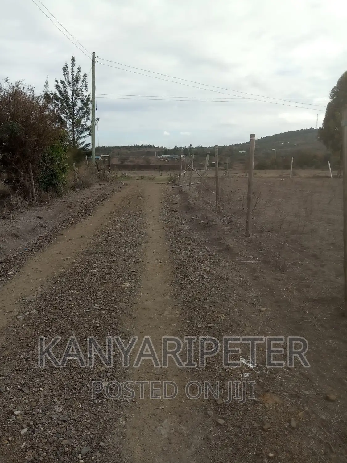 Plots With Ready Title Deeds in Nyeri Mweiga Muthuini