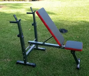 New Standard Work Out Bench