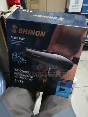 Professional Hair Dryer