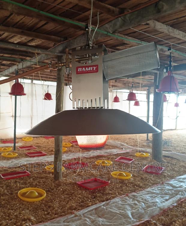 Damly Highly Durable Gas Chick Brooder Warmers - main view