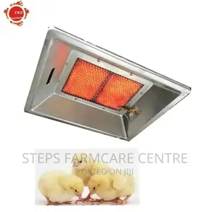 1,000 Chicks Gas Brooder