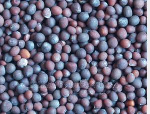 Canola Planting Seeds 10kgs - thumbnail 2