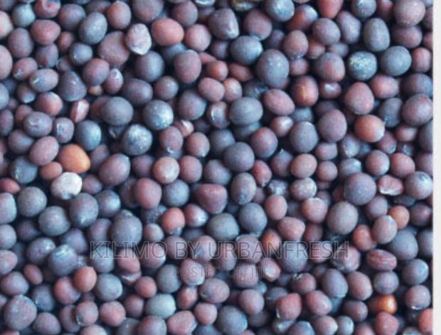 Canola Planting Seeds 10kgs - main view