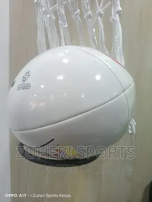 Professional Rugby Ball/Standard Size and Quality