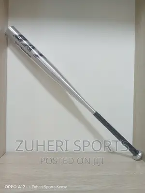 Metal Baseball Bat/Heavy Duty/Professional Standard