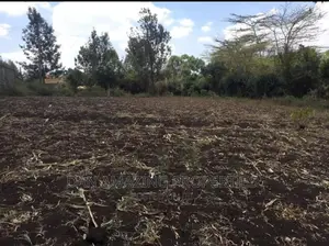 1/2 an Acre for Sale in Ngong Olepolos