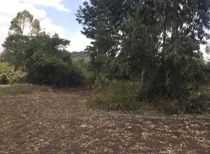 1/2 an Acre for Sale in Ngong Olepolos
