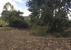 1/2 an Acre for Sale in Ngong Olepolos