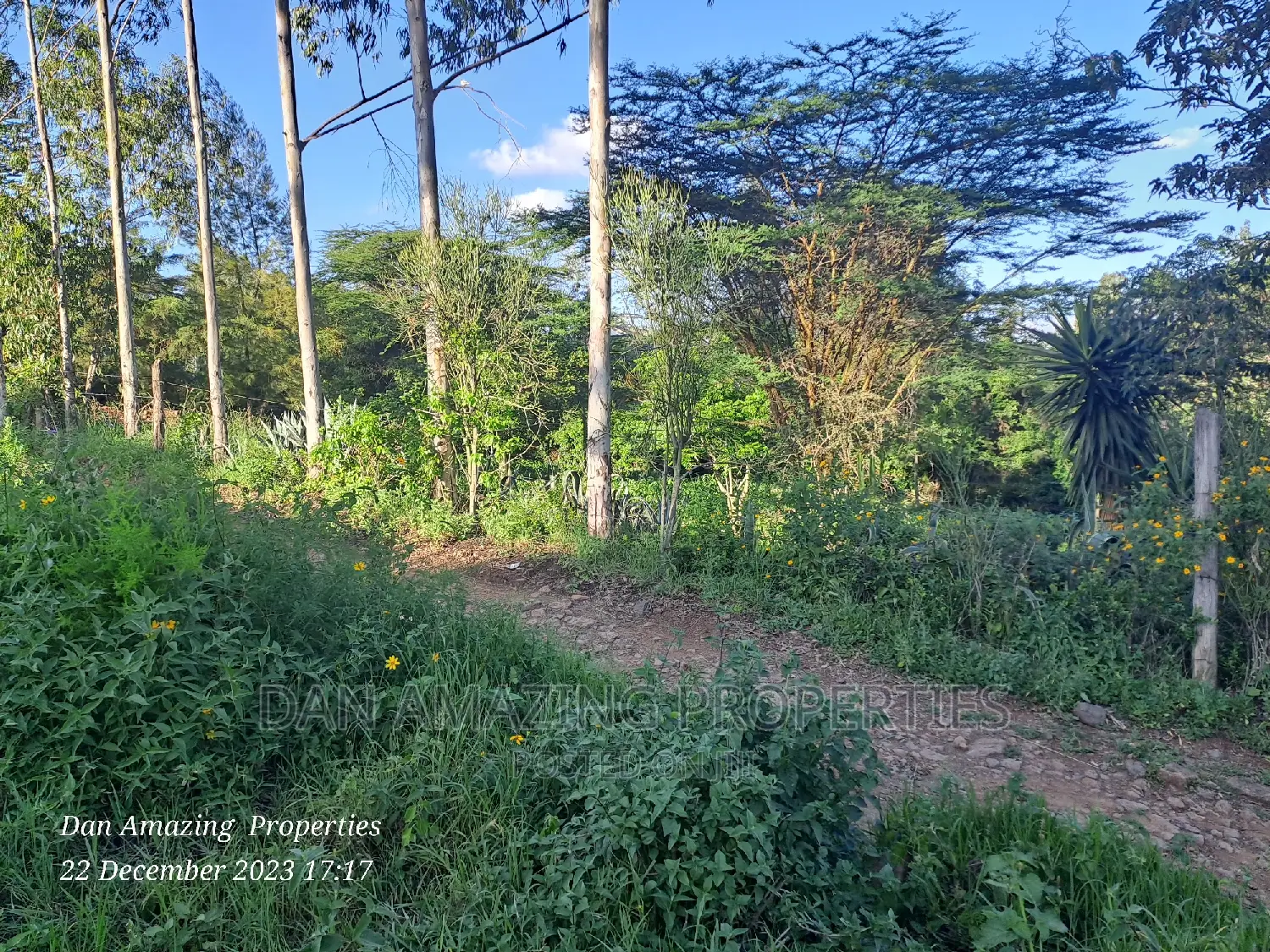 1/2 an Acre for Sale in Ngong Olepolos