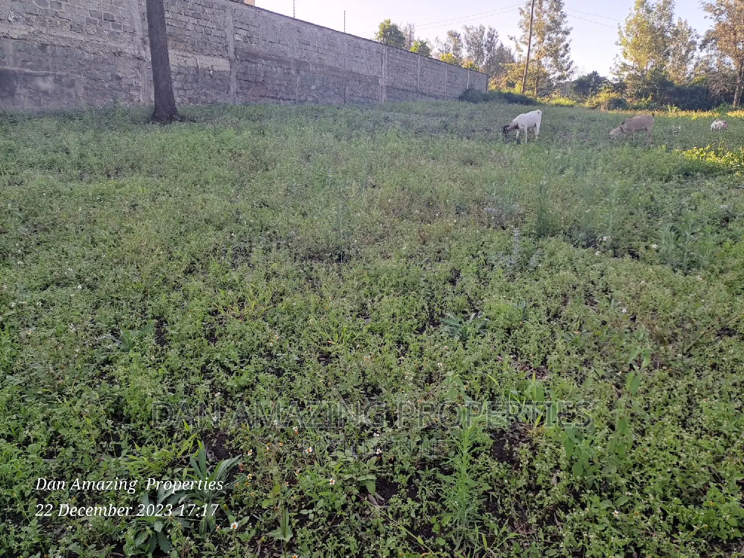 1/2 an Acre for Sale in Ngong Olepolos