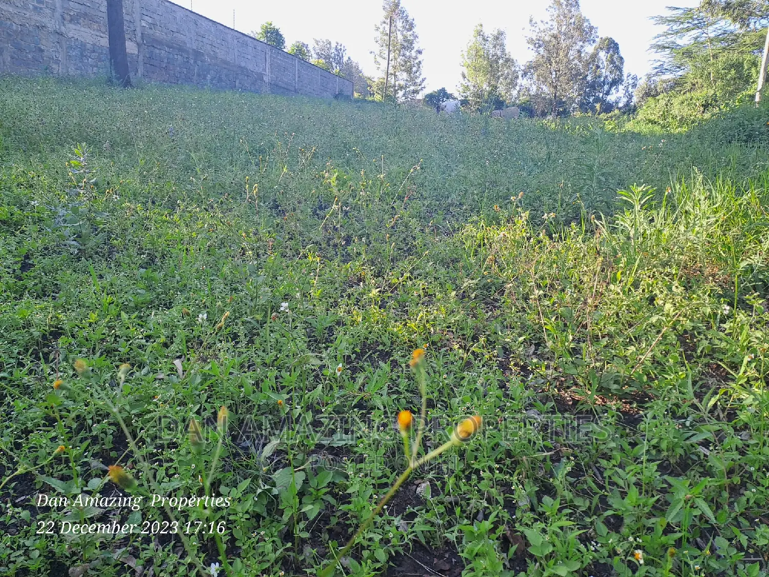 1/2 an Acre for Sale in Ngong Olepolos