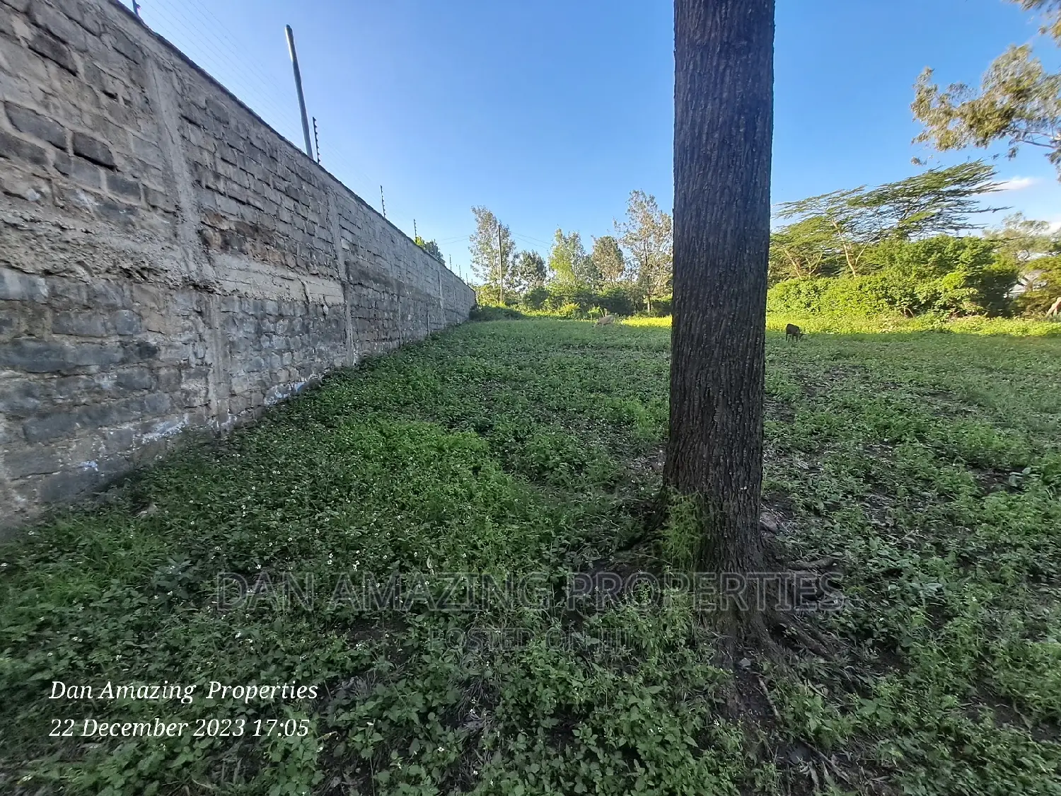 1/2 an Acre for Sale in Ngong Olepolos