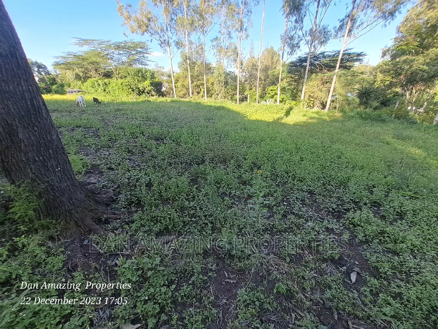 1/2 an Acre for Sale in Ngong Olepolos