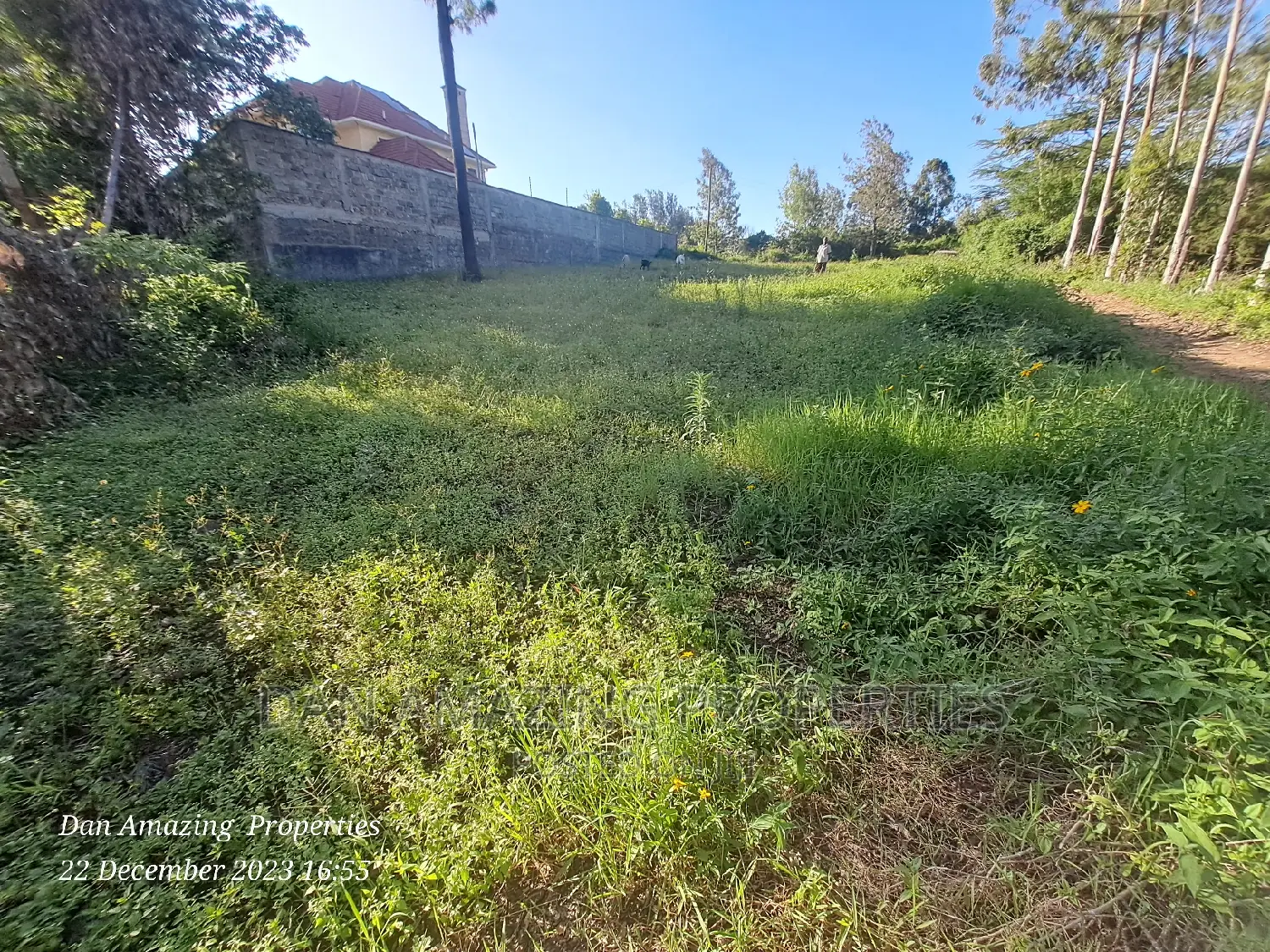 1/2 an Acre for Sale in Ngong Olepolos