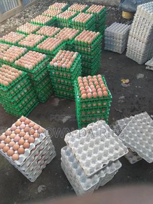 Eggs Available - main view