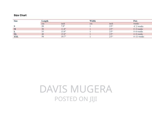 Colorful Puppy Litter Identification Bands - thumbnail 4