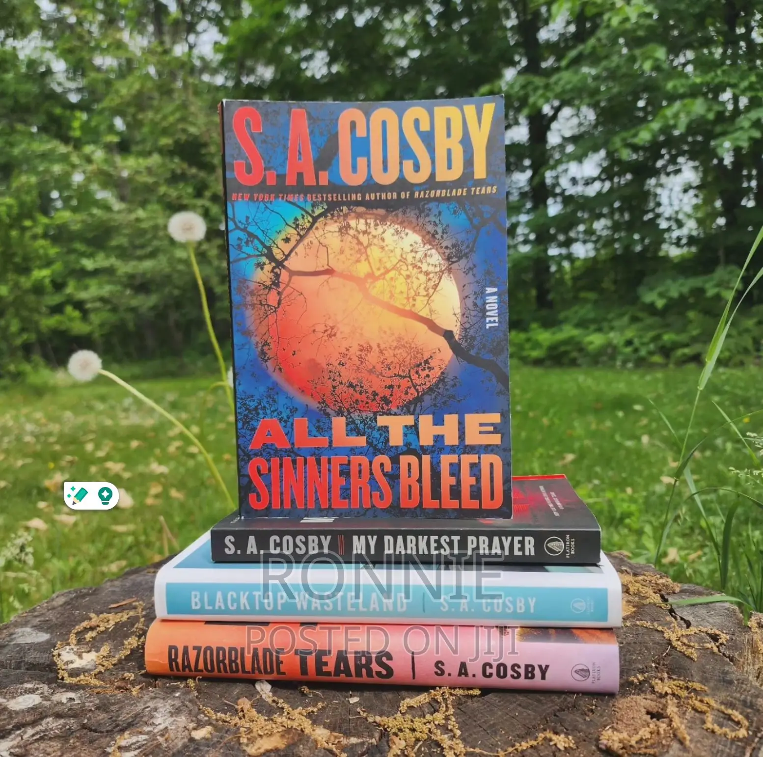 All the Sinners Bleed Book by S.A. Cosby