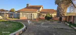 4bdrm Bungalow in Kimumu for sale - thumbnail 3