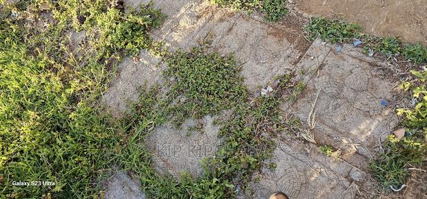 4bdrm Bungalow in Kimumu for sale - thumbnail 15