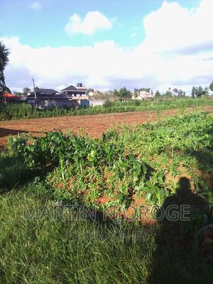 1⁄8 Murengeti - thumbnail 2