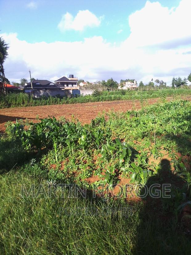 1⁄8 Murengeti - main view