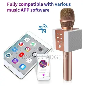 Bluetooth Karaoke Portable Wireless Karaoke Microphone Home