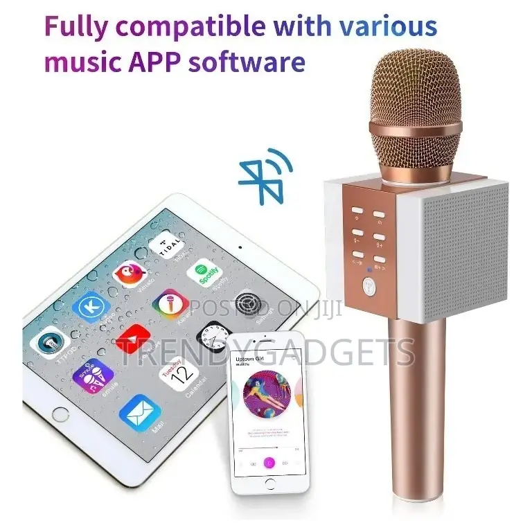 Bluetooth Karaoke Portable Wireless Karaoke Microphone Home