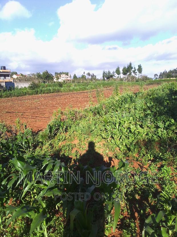 1⁄8 Murengeti - thumbnail 3