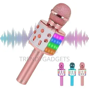Handheld Karaoke Mic Birthday Party Gifts for Kids