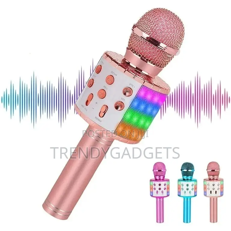 Handheld Karaoke Mic Birthday Party Gifts for Kids