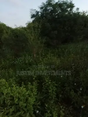 Land on Sale at Kivyuni Kitui South.