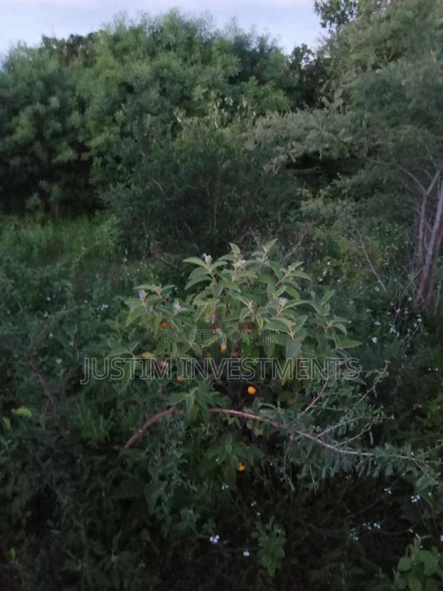 Land on Sale at Kivyuni Kitui South. - thumbnail 2