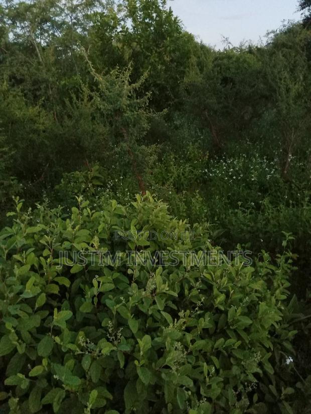 Land on Sale at Kivyuni Kitui South. - thumbnail 4
