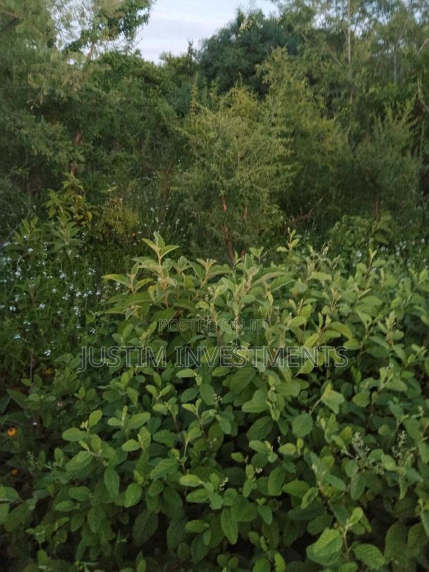 Land on Sale at Kivyuni Kitui South. - thumbnail 3