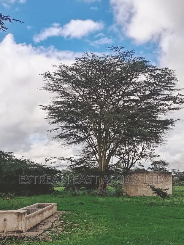 15 Acres at Kisaju. 5.6kms From Kitengela-Namanga Road. - main view